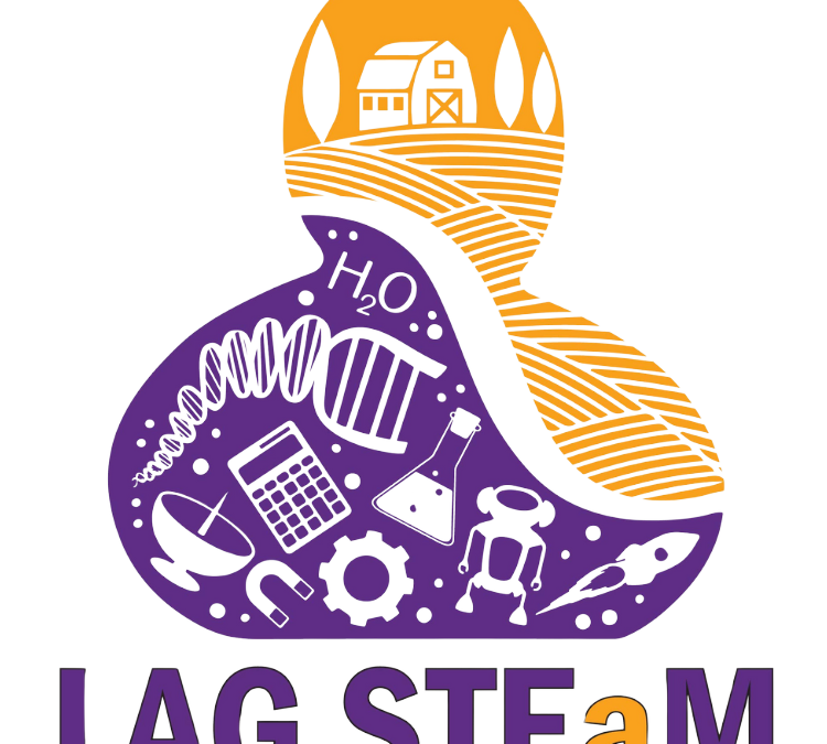 Projekt LAG STEaM- javni poziv